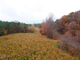 Tract 5 Old Allensville Road - Photo 5