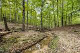 Lot D Wolf Tree Way - Photo 10