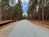 Lot D Wolf Tree Way - Photo 19