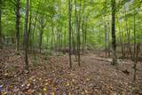Lot 4 Wolf Tree Way - Photo 4