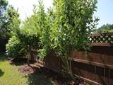 101 Inkwood Place - Photo 30