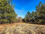 0000 Jesse Smith Road - Photo 7