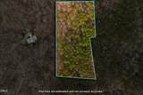 Lot 18 Foxlair Road - Photo 1
