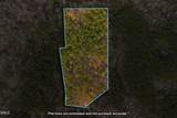 Lot 16 Foxlair Road - Photo 3