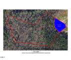 335 Little Lady Trail - Photo 4