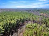 0 Tommie Daniel Road - Photo 16