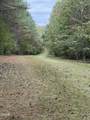 0 Tommie Daniel Road - Photo 34