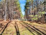 0 Tommie Daniel Road - Photo 4