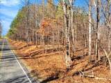 0 Tommie Daniel Road - Photo 5
