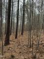 0 Tommie Daniel Road - Photo 53