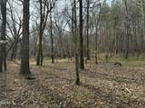 0 Tommie Daniel Road - Photo 71
