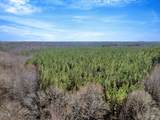 0 Tommie Daniel Road - Photo 8