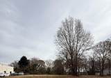 427 Rauhut Street - Photo 5