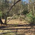 000 Gant Road - Photo 3
