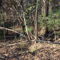 000 Gant Road - Photo 4