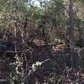 000 Gant Road - Photo 5