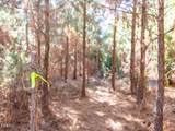 0 Will Brown Road - Photo 18