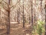 0 Will Brown Road - Photo 19