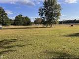 4633 Hummingbird Place - Photo 3