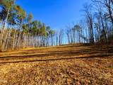 318 Jones Ferry Road - Photo 4