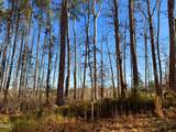 318 Jones Ferry Road - Photo 5