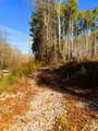 318 Jones Ferry Road - Photo 9