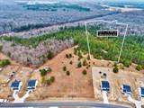 Lot 4 Blue Springs Road - Photo 1
