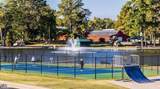266 Blue Butterfly Drive - Photo 45