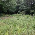1722 Vicksboro Road - Photo 10