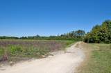 1 Nc Highway 33 - Photo 16