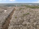 10.75 Acre Neal's Store Road - Photo 17