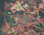 10.75 Acre Neal's Store Road - Photo 3