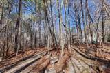 1511 Anterra Drive - Photo 49