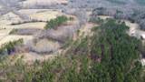 6182 Bob Daniel Road - Photo 9