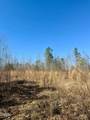 0 Warren Woods Street - Photo 4