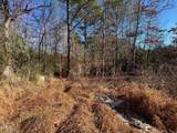Lot 16 Dove Road - Photo 3