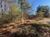 Lot 16 Dove Road - Photo 5