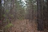 257 Piney Grove Church Road - Photo 7