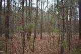 257 Piney Grove Church Road - Photo 8