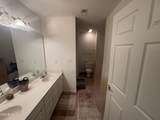 11221 Avocet Lane - Photo 14