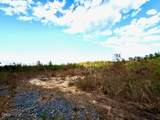 1665 Satterwhite Road - Photo 41