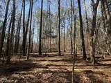 1012 Halifax Road - Photo 29