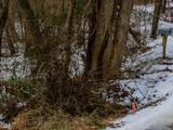 558 Jones Ferry Road - Photo 18
