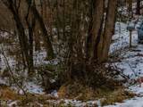 558 Jones Ferry Road - Photo 19