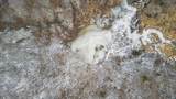 0 Mace Road - Photo 12