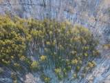 380 Redd Lane (Java) - Photo 14