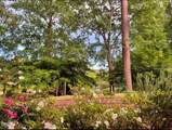 3104 Sandy Knoll Lane - Photo 58
