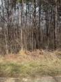 93 Lot Haynoke Drive - Photo 3