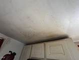 419 Oak Street - Photo 26