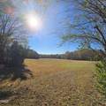 868 Julie Mcknight Road - Photo 4